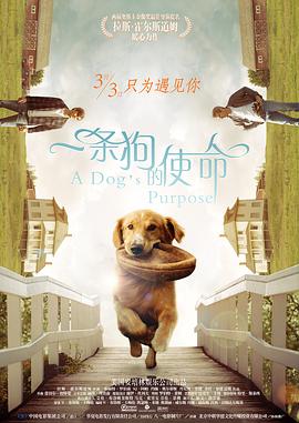 三级特黄特色视频
